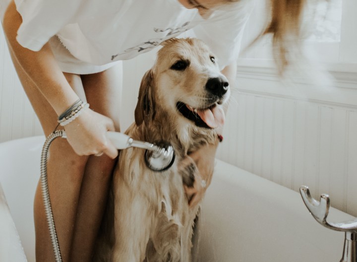 autri-taheri-TTGSZSElkOI-unsplash